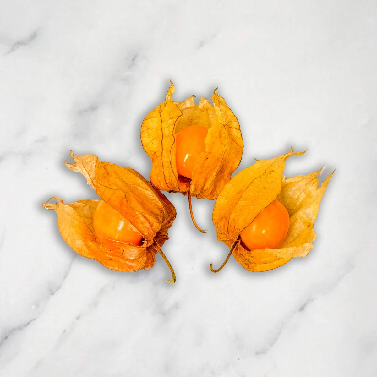 Physalis, +/-12 pcs, 100g - Image 2