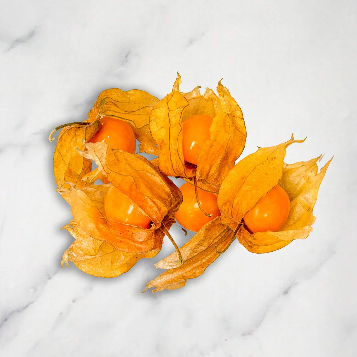 Physalis, +/-12 pcs, 100g - Image 3