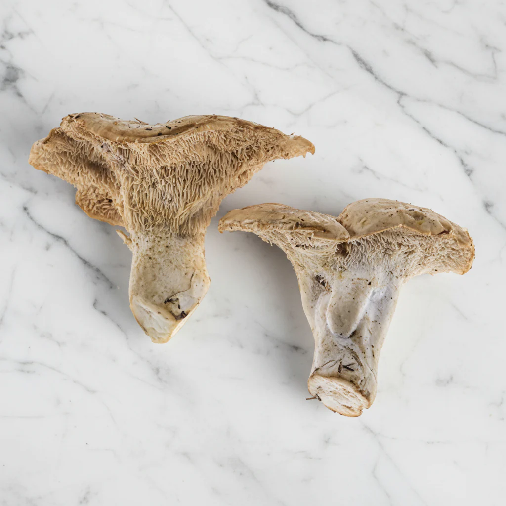 Pied de Mouton Mushrooms, Fresh
