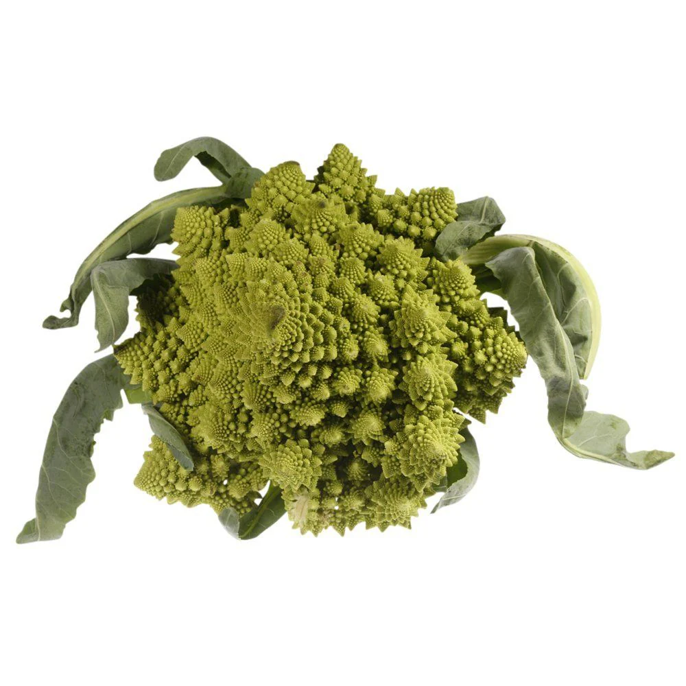 Romanesco, 1 x Head - Image 2