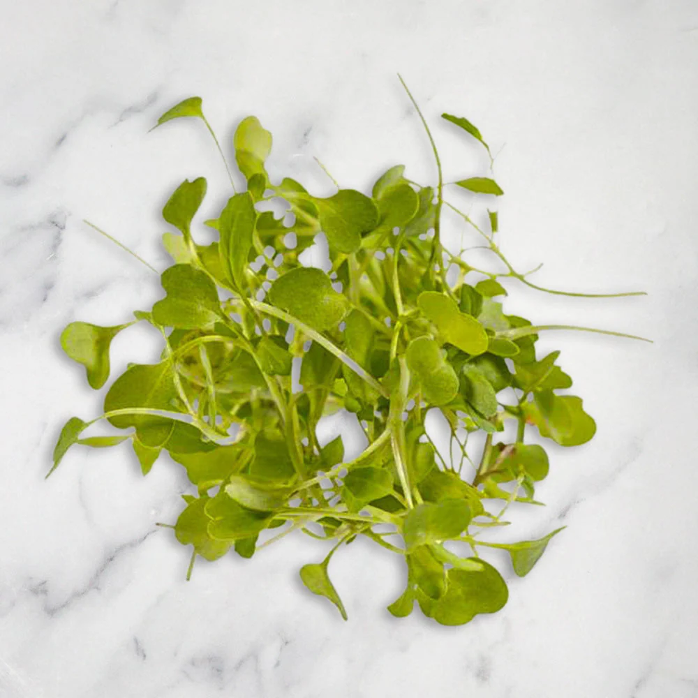Rocket Micro Herb, 30g - Image 2