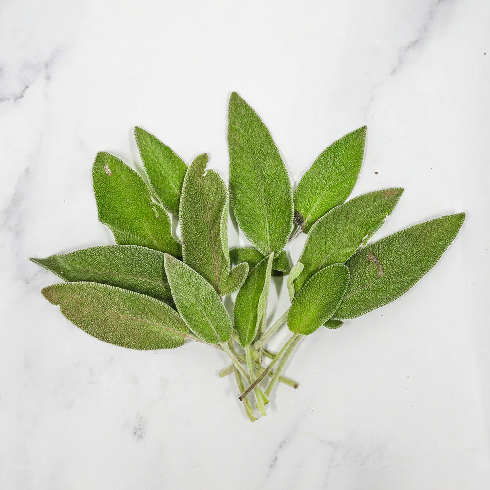 Sage, 3 x 40g