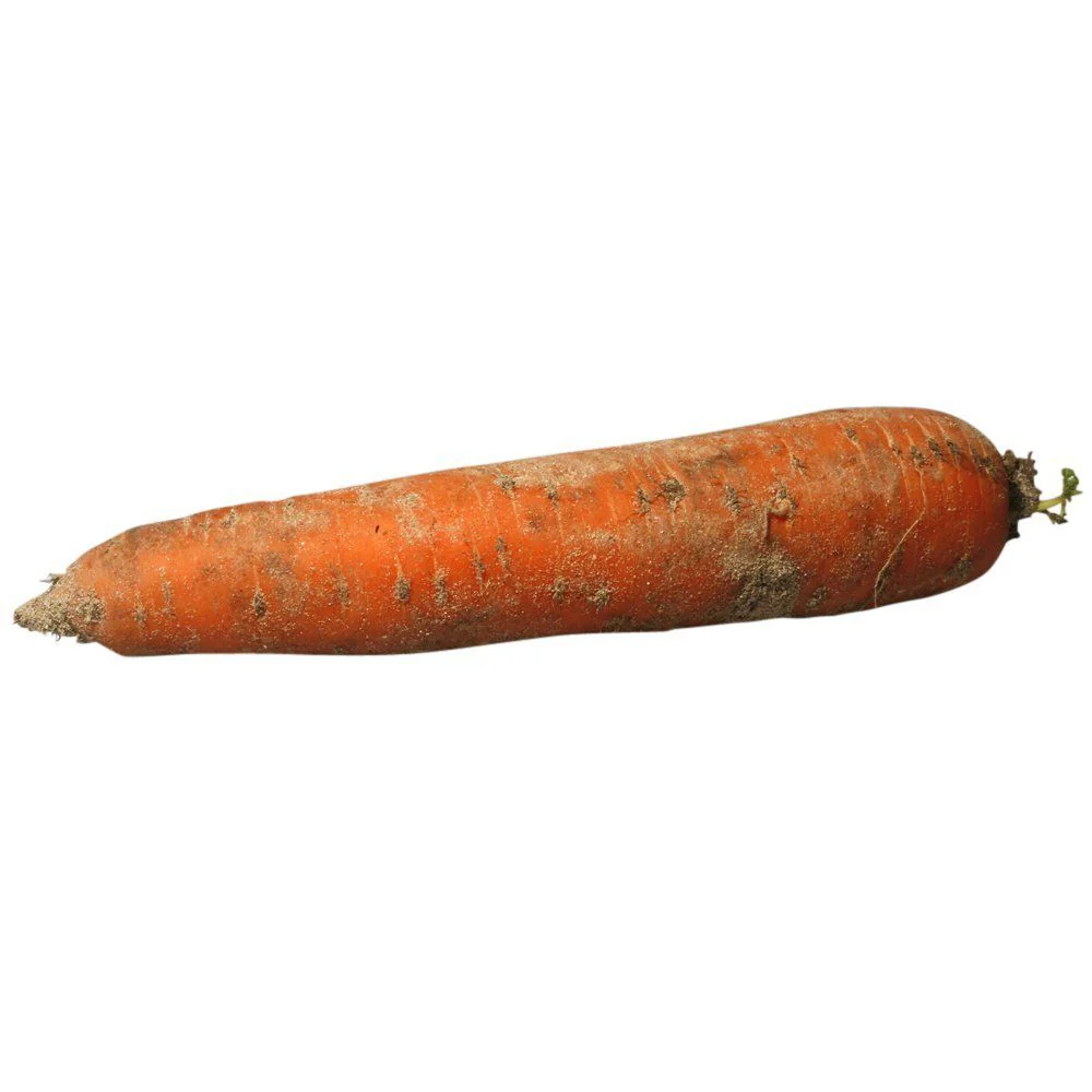 Sand Carrots, 2kg - Image 2