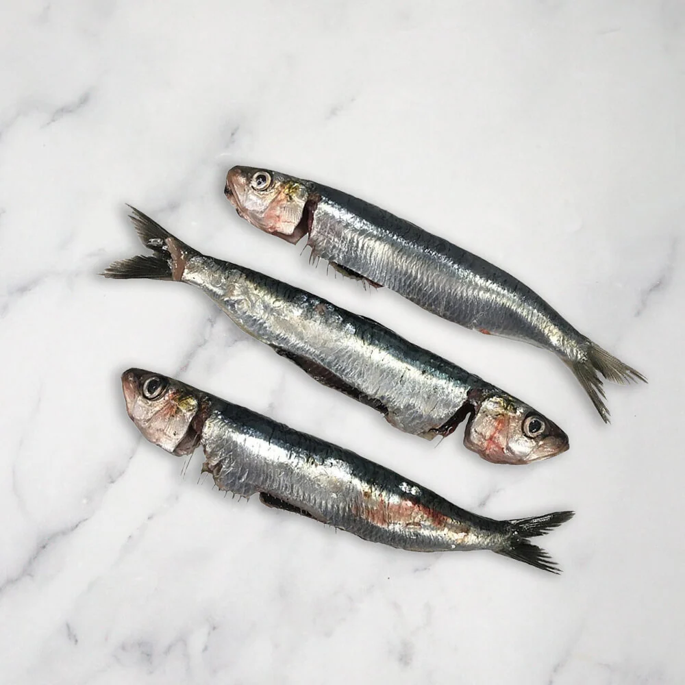 Sardines, Scaled & Gutted, Fresh, +/-2kg