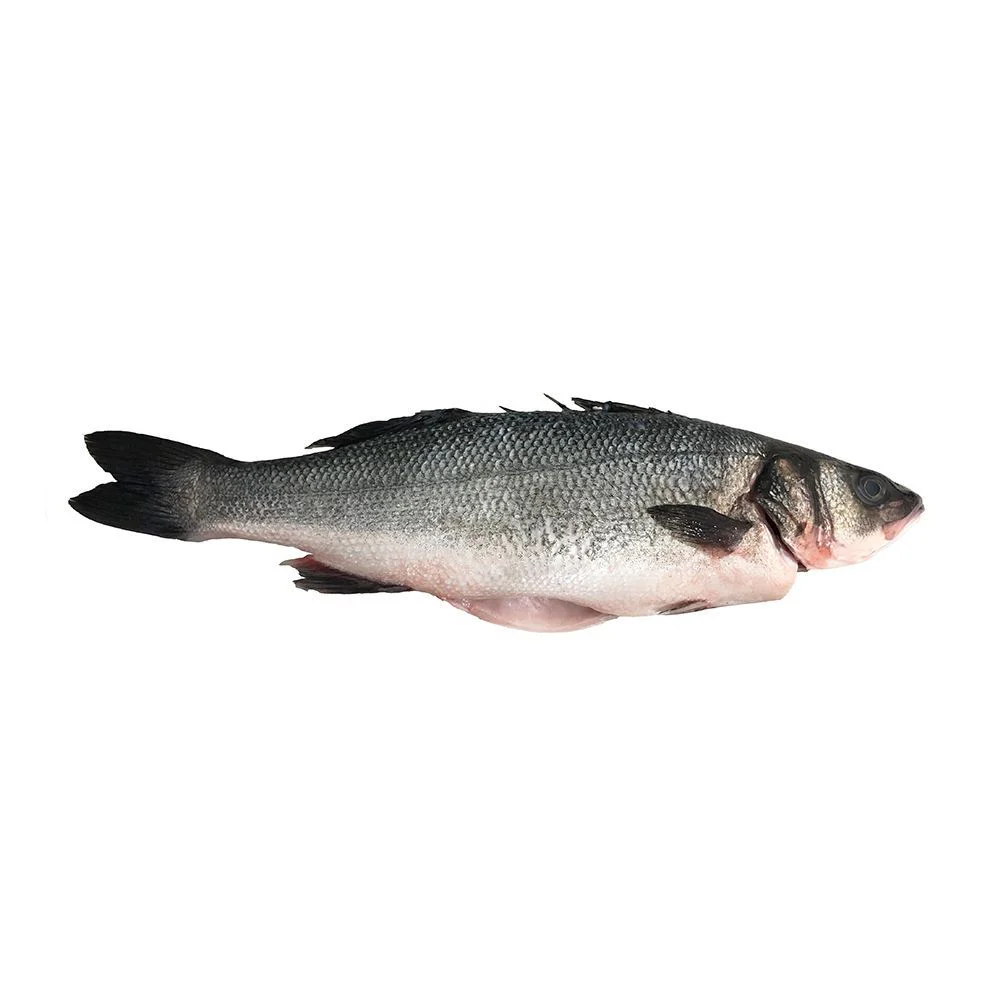 Sea Bass, Fresh, 2 x 6-800g - Image 2
