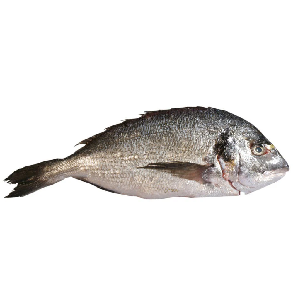 Sea Bream, Fresh, 2 x 6-800g - Image 2