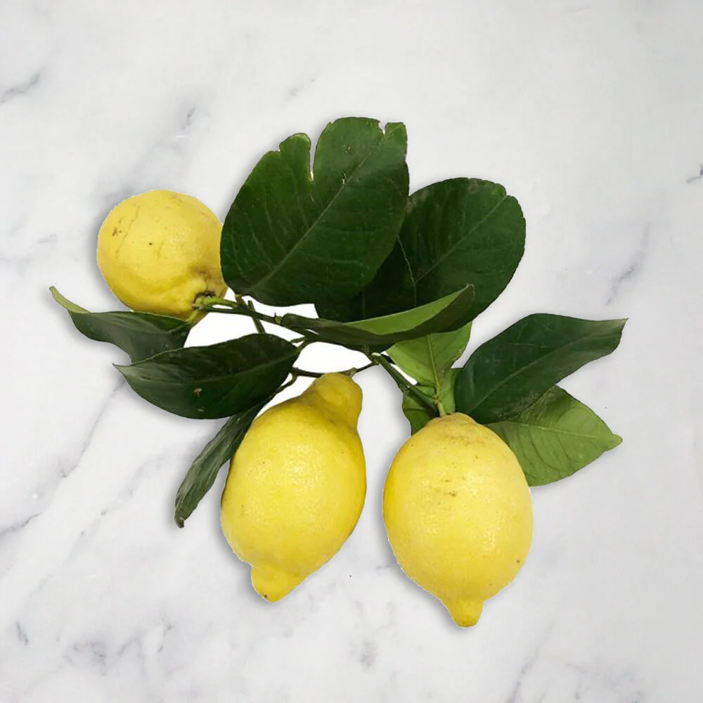 Italian Lemons, 1kg