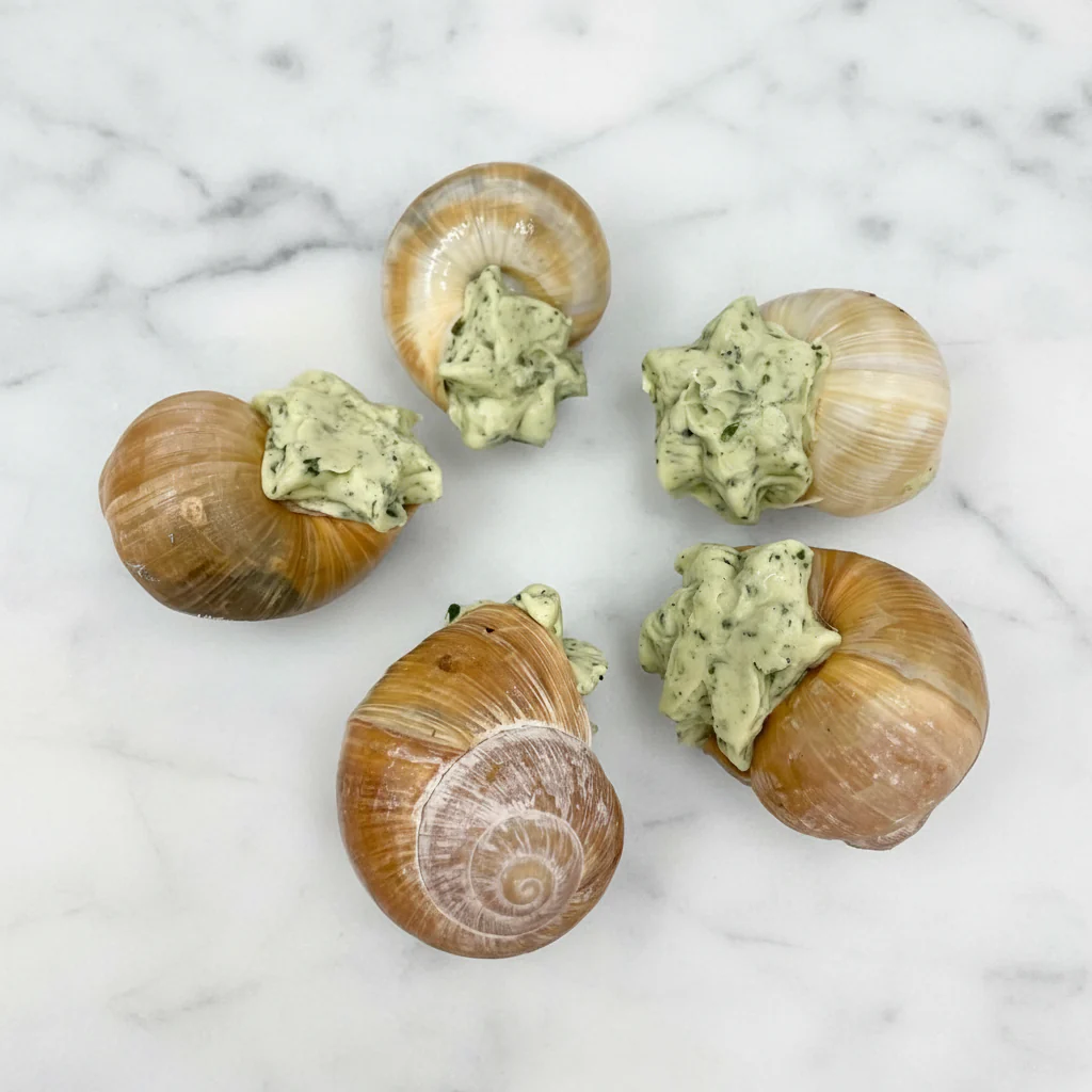 Snails Prepared In Shells, Frozen, x 24