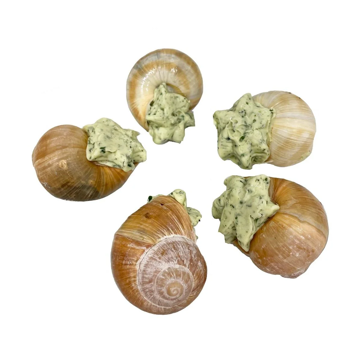 Snails Prepared In Shells, Frozen, x 24 - Image 2