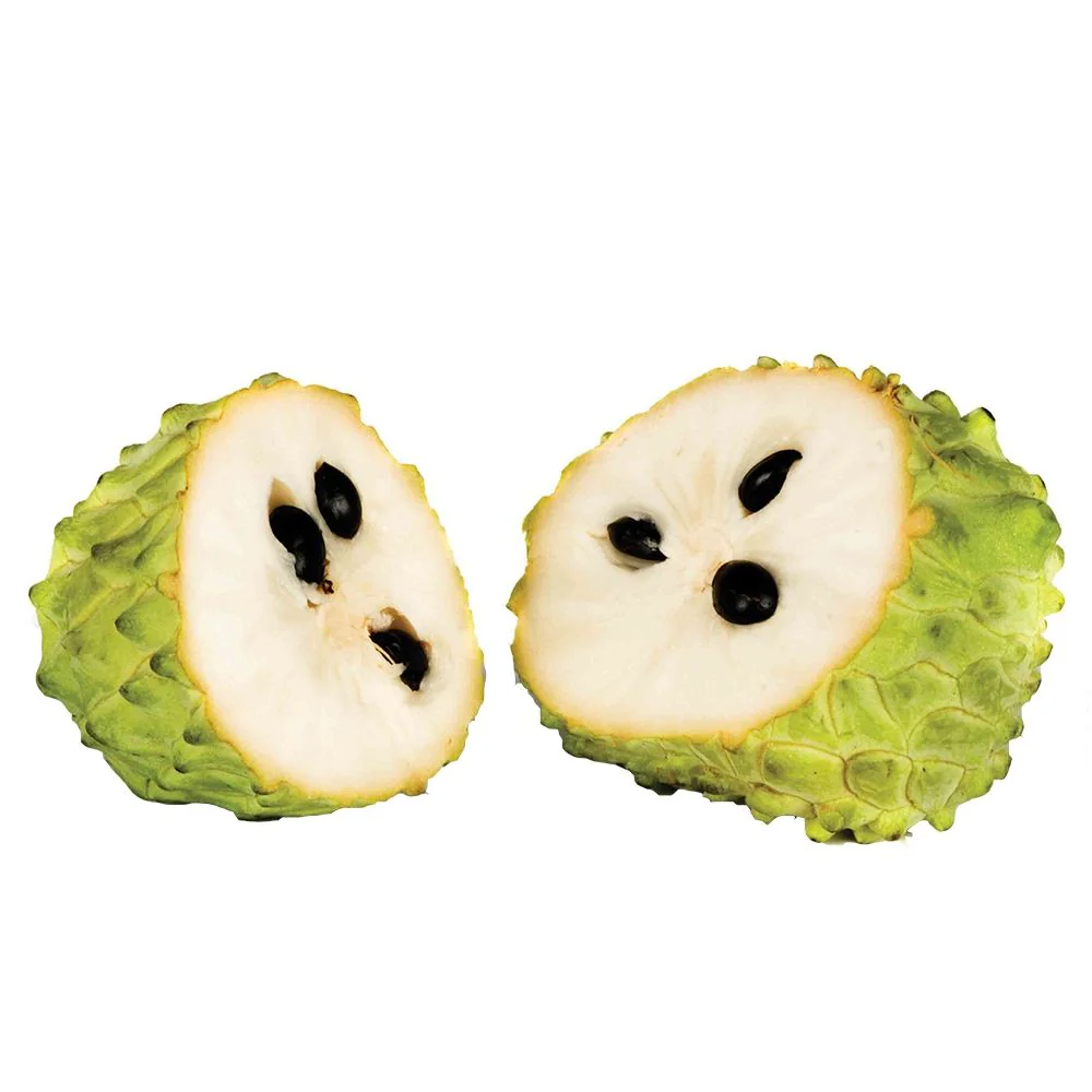 Soursop Puree, Ponthier, Frozen, 1kg - Image 3
