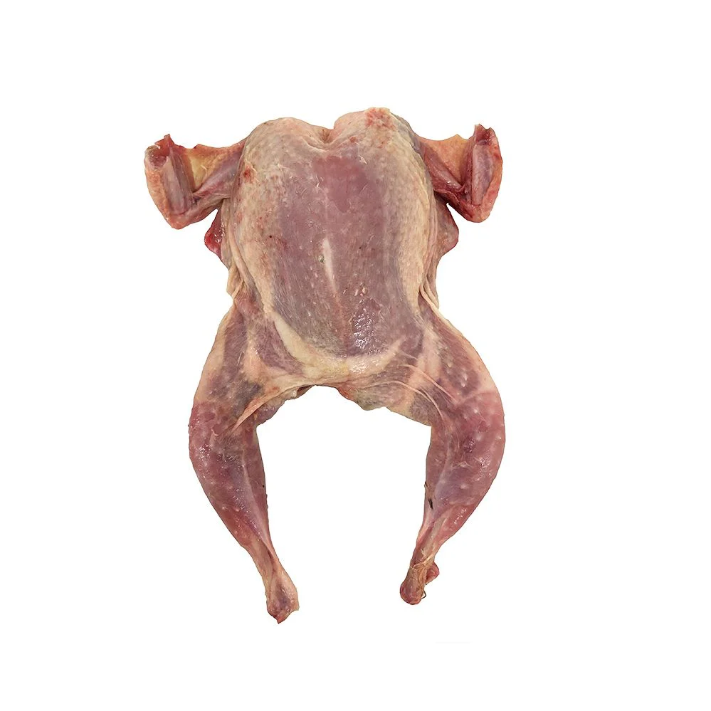 Spatchcocked Quail, Fresh, x 4 - Image 3