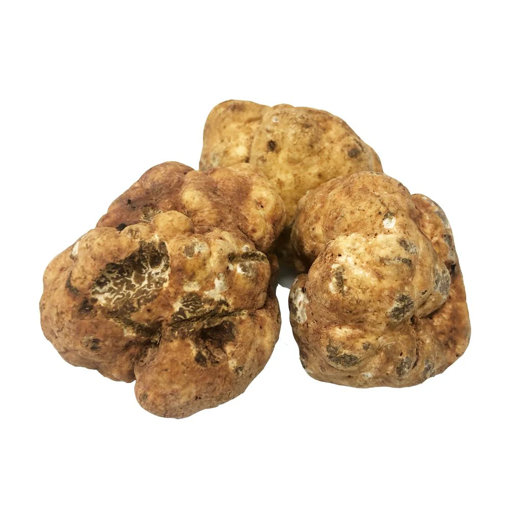 Spring White Truffle (Tuber Albidium Pico), Fresh - Image 3