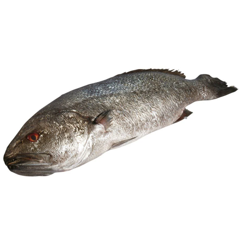 Stonebass, Fresh, +/-3.5kg - Image 2
