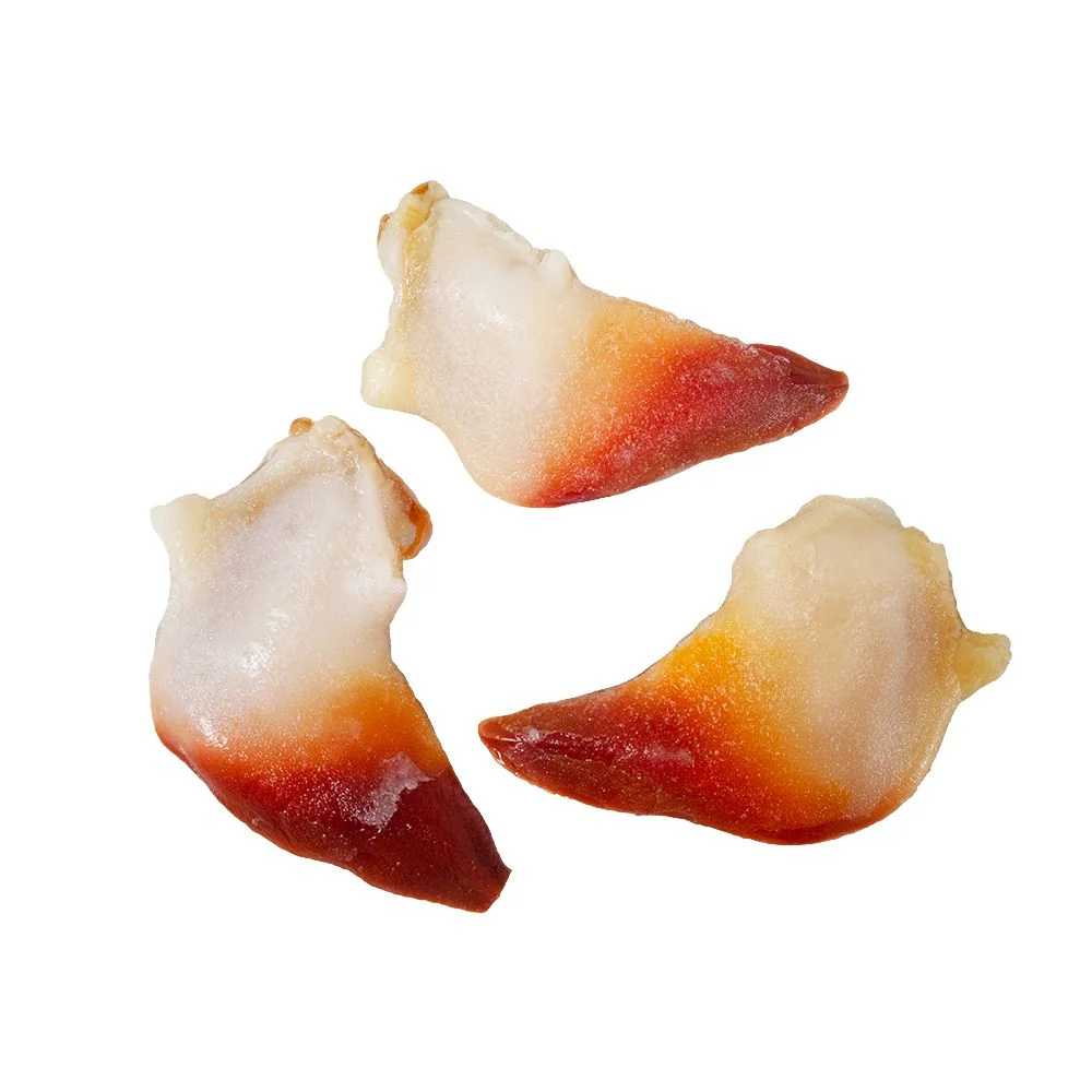 Surf Clams, Frozen, +/-250g - Image 2