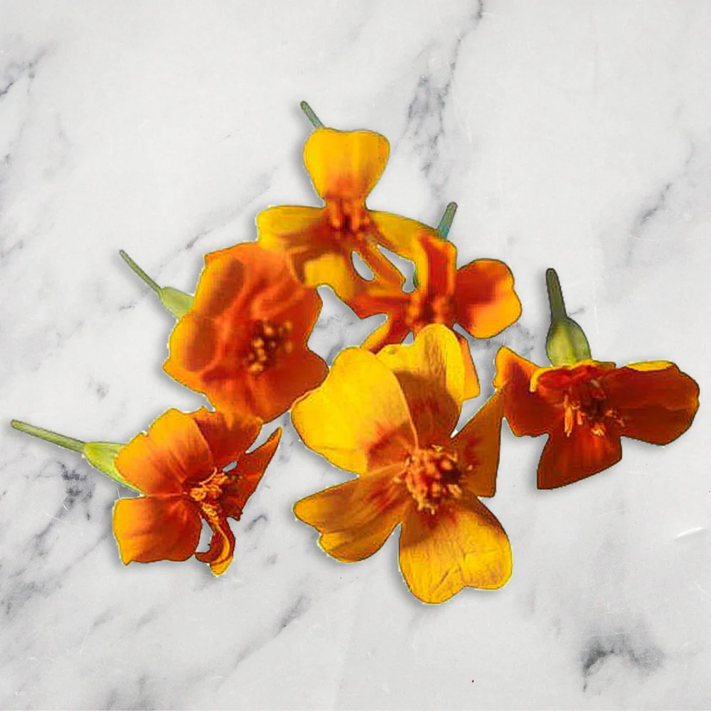 Tagete Flowers, x 1 Punnet