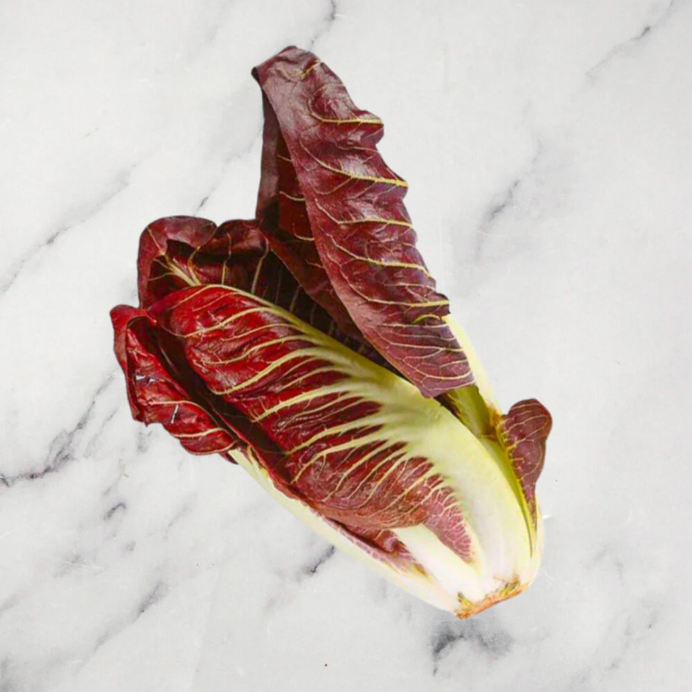 Treviso Radicchio, 1kg