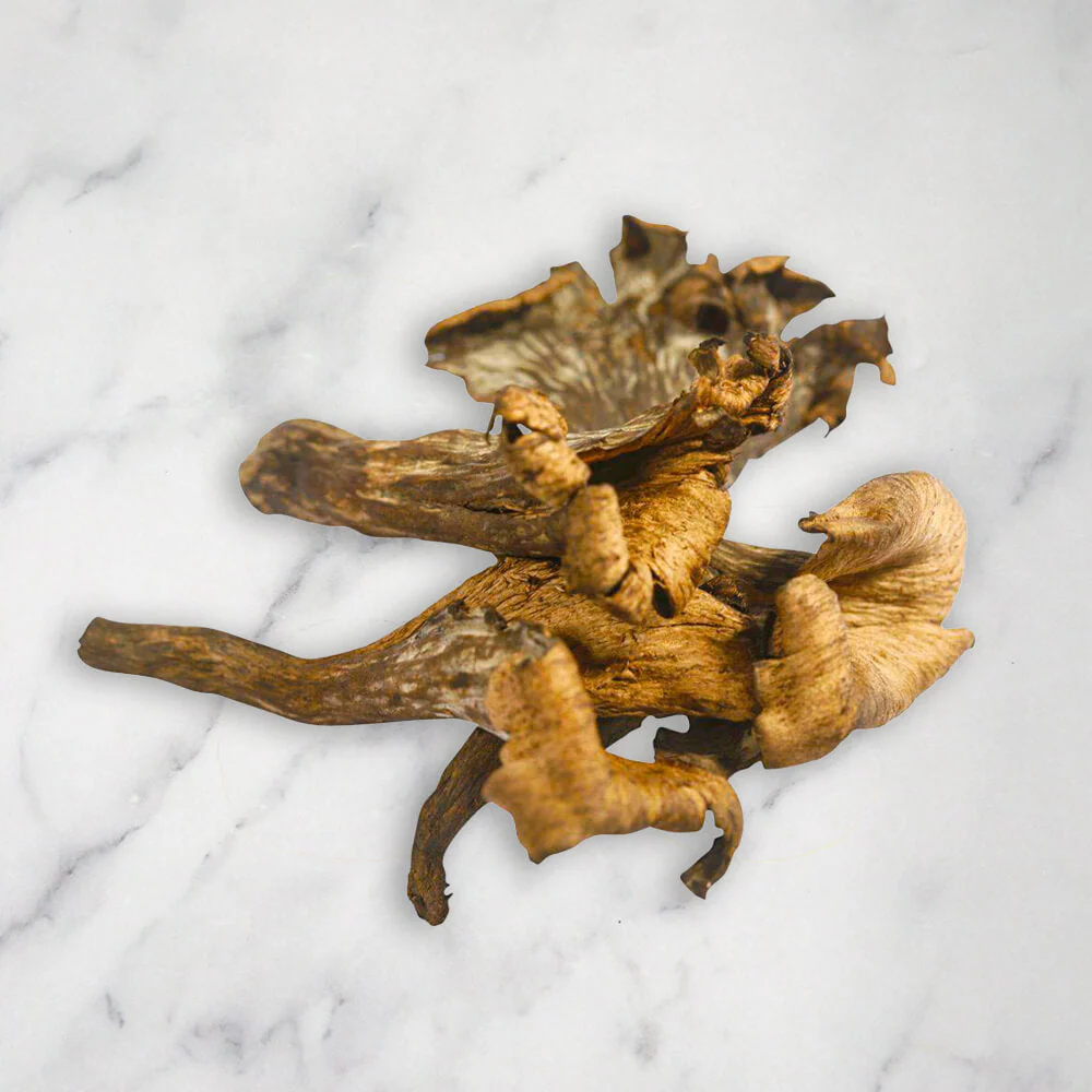 Trompette de la Mort, Fresh - Image 2