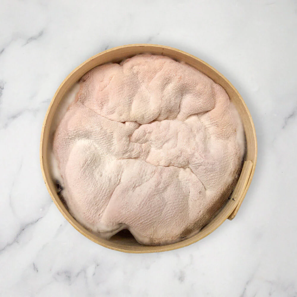 Vacherin, Mont d'Or, 520g - Image 3
