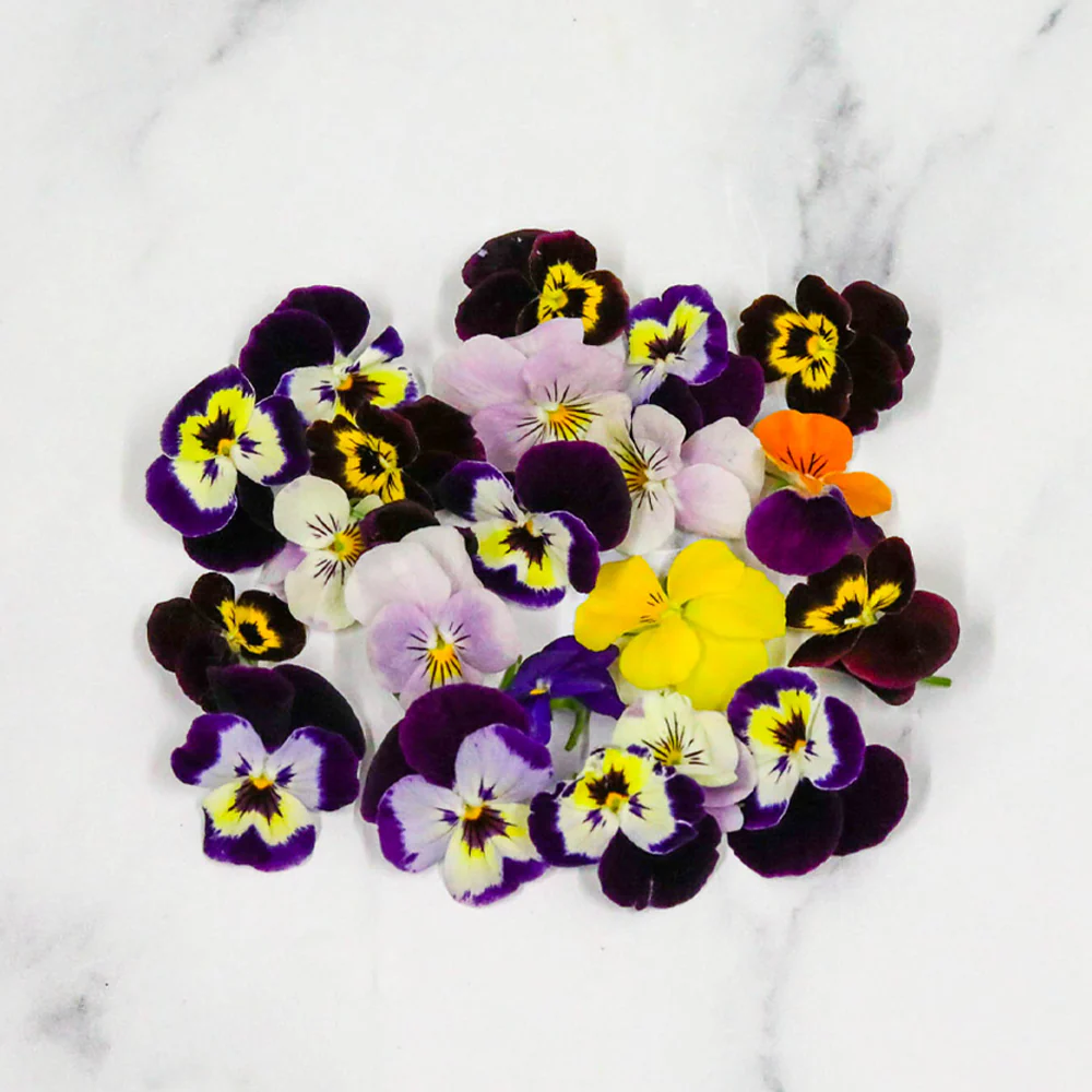 Viola Flowers, Edible, 1 x Punnet