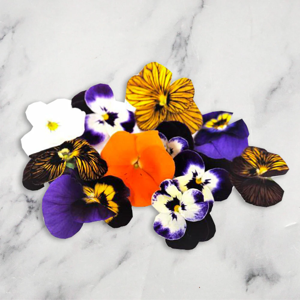 Viola Flowers, Edible, 1 x Punnet - Image 2
