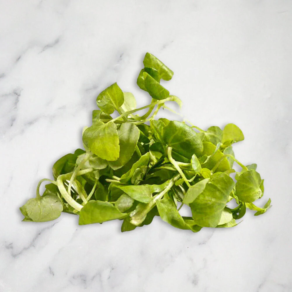 Watercress Micro Herb, 100g - Image 2