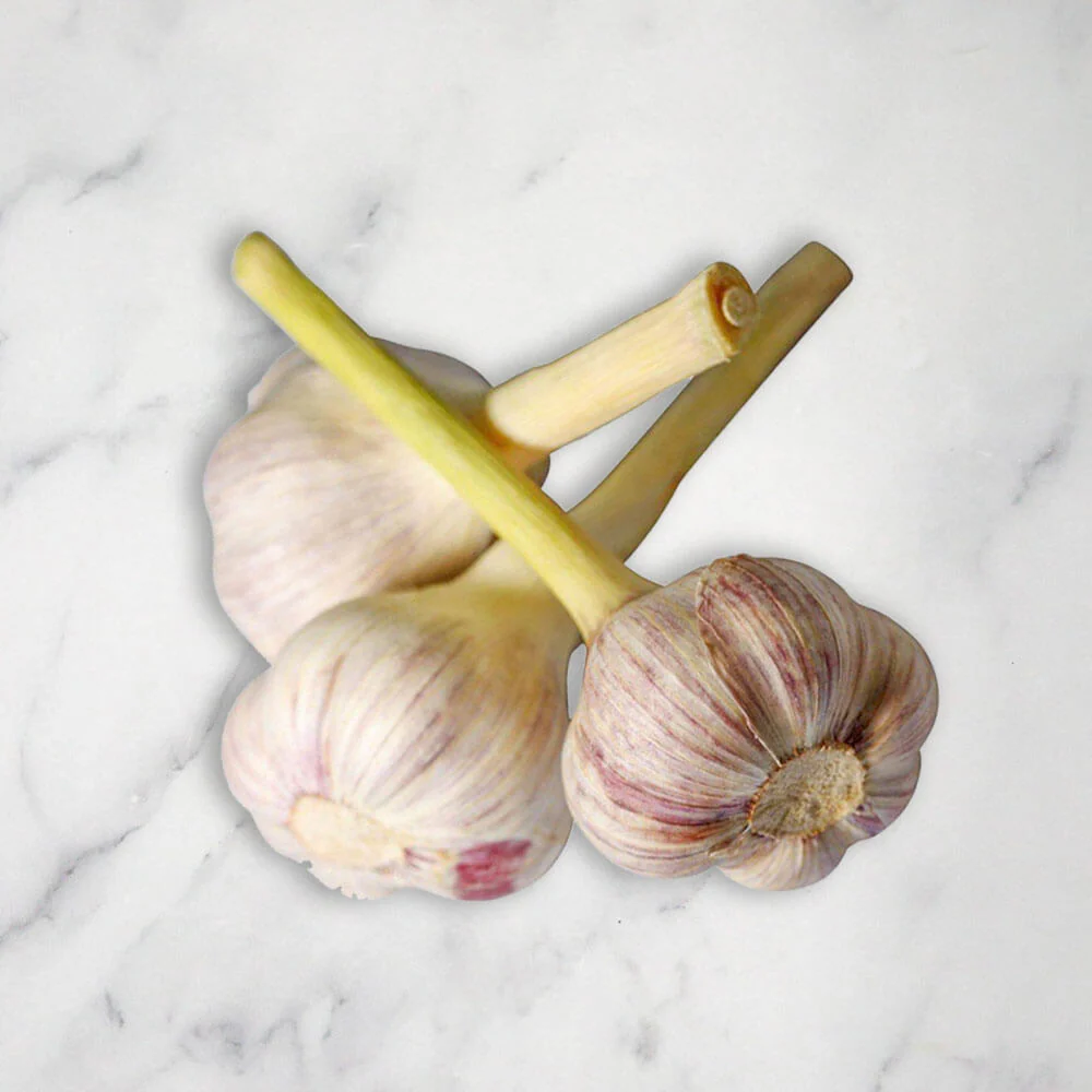 Wet Garlic, Fresh, 250g - Image 2