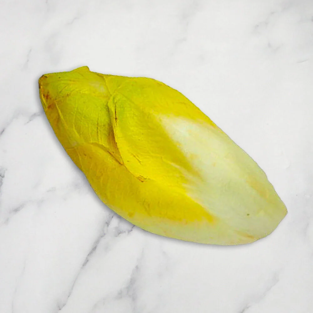 White Chicory, +/-1kg