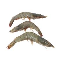 Whole Tiger Prawns, Frozen Raw, (Net Weight: +/-700g, 16-20) - Image 3