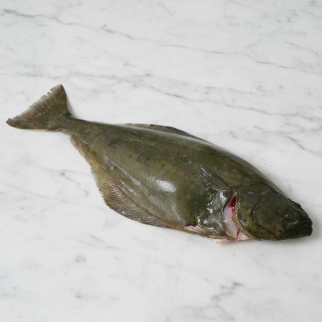 Halibut, Whole & Gutted, Fresh, 3-4kg