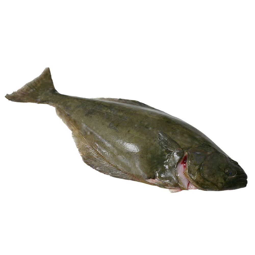 Halibut, Whole & Gutted, Fresh, 3-4kg - Image 2