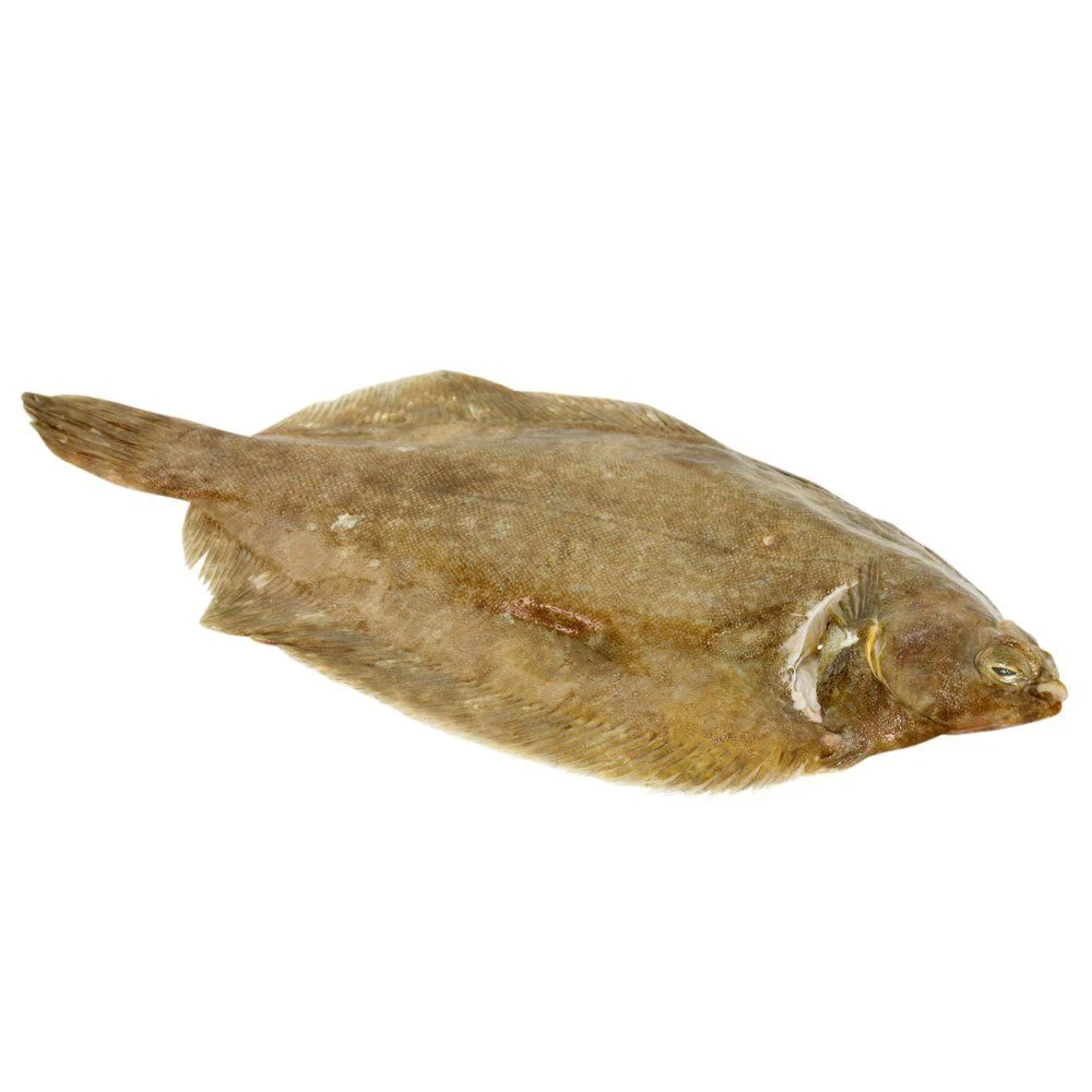 Whole Lemon Sole, Fresh, 2 x 400/600g - Image 2