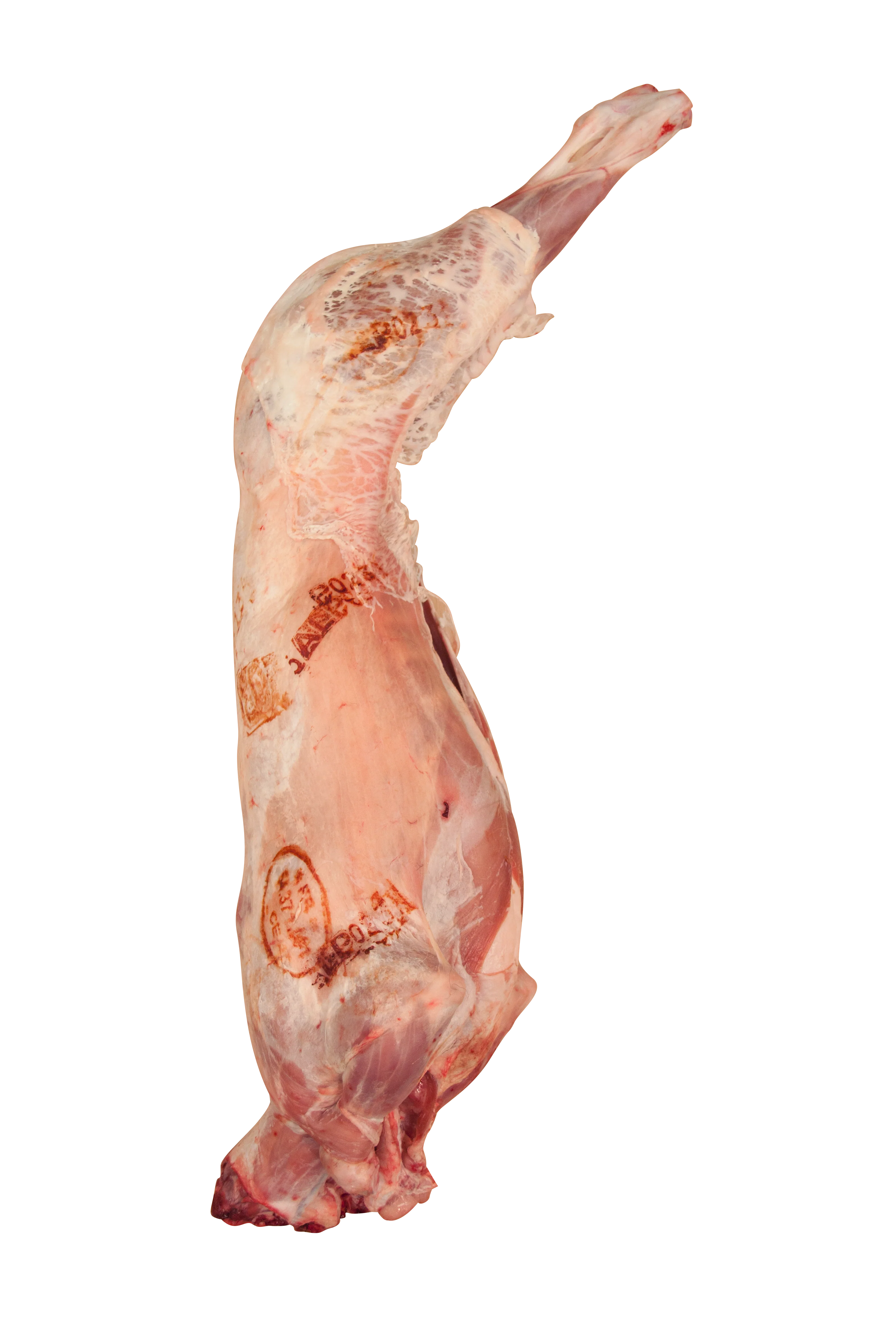 Whole Pyrenean Milk-Fed Lamb, Fresh, +/-7-8kg - Image 2
