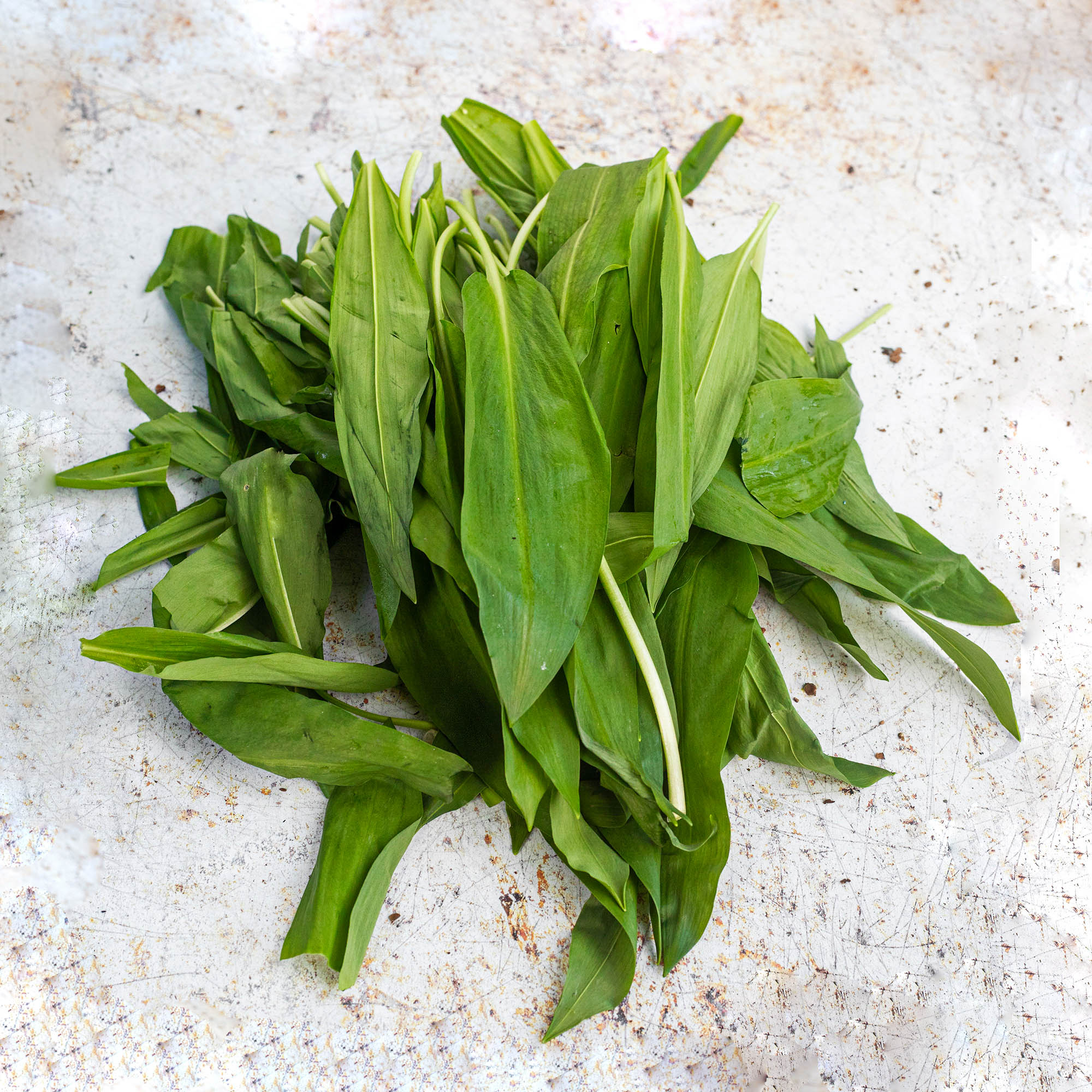 Wild Garlic, 250g - Image 3