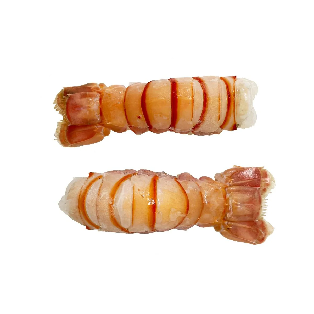 Wild Langoustine Tails, Raw & Frozen, +/-250g (+/-12 pcs) - Image 4