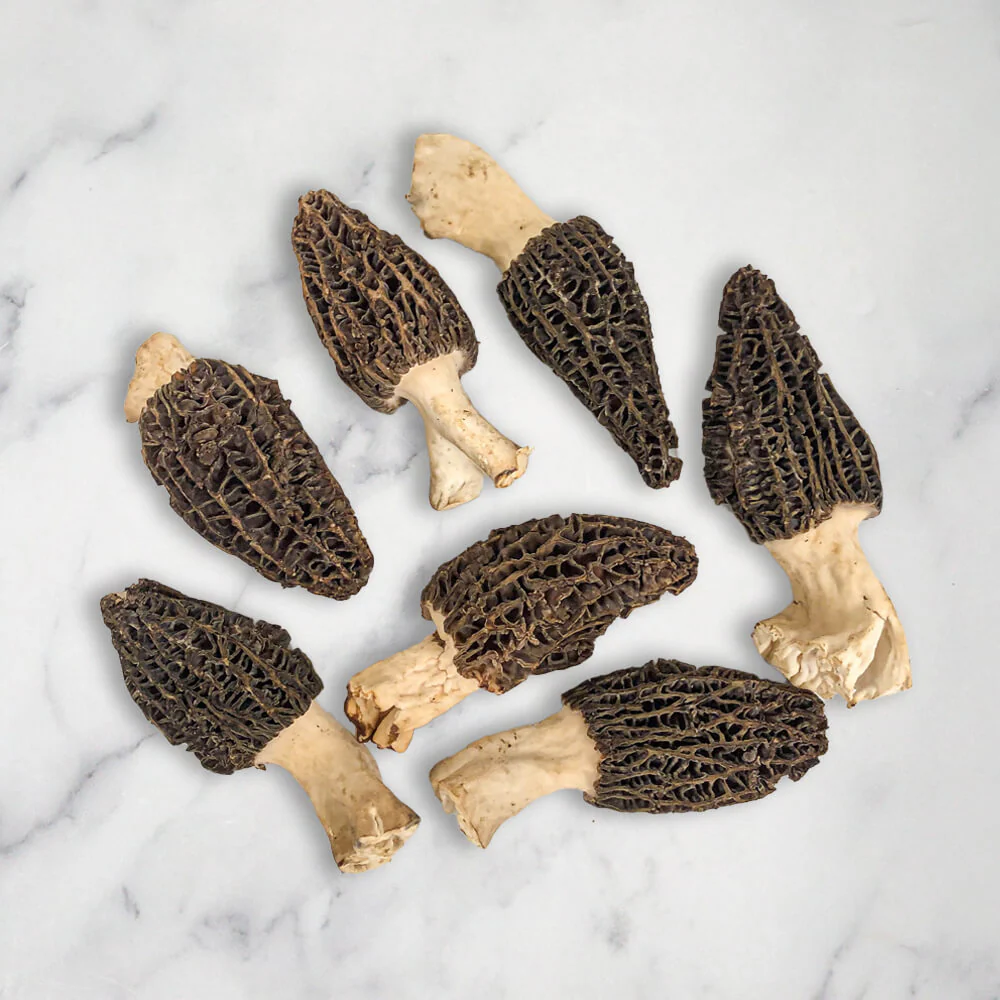 Morel Mushrooms, Fresh - Image 2