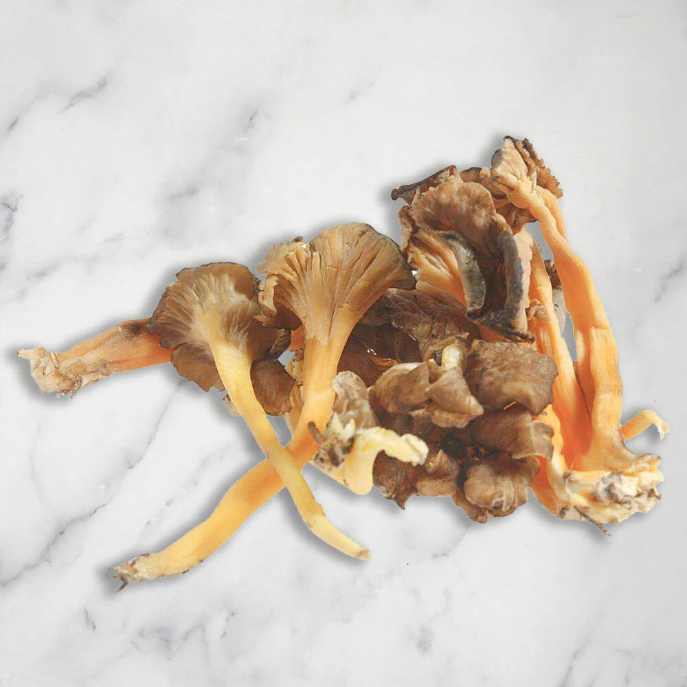 Yellow Leg Chanterelles, Fresh - Image 2